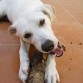 me lo como todo!